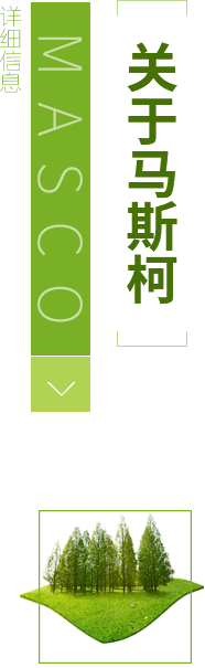 图片名称