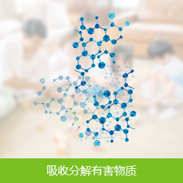 图片名称